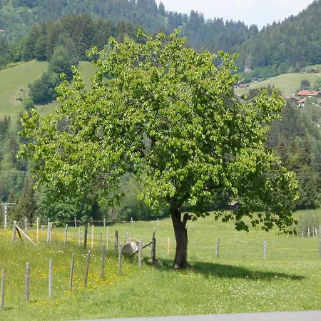Gaestehaus Vogler Oberstdorf-kornau