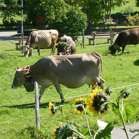 Gaestehaus Vogler Oberstdorf-kornau * Oberstdorf